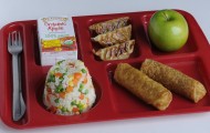 1. chicken potstickers, vegetable rice and whole wheat egg rolls for a lunch tray in school
