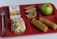 1. chicken potstickers, vegetable rice and whole wheat egg rolls for a lunch tray in school